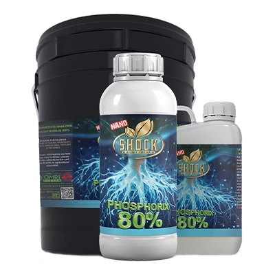 کود فسفر بالا 80 درصد شوک