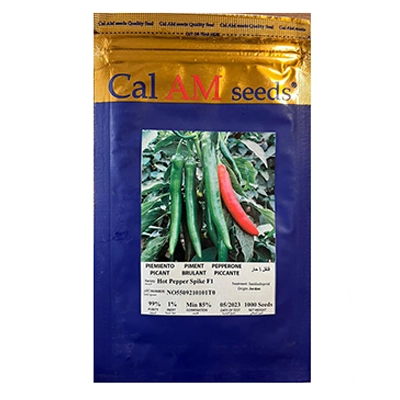 بذر فلفل قلمی تند هیبرید اسپایک Cal AM