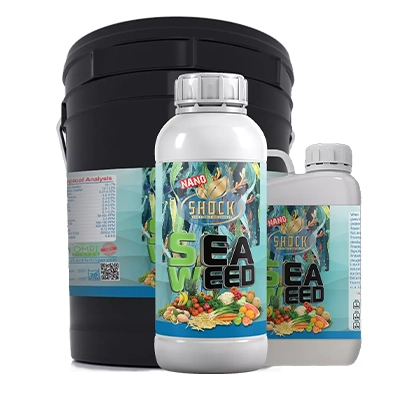 کود جلبک دریایی شوک