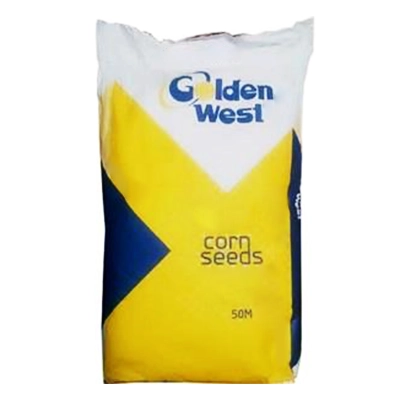 بذر ذرت هیبرید علوفه ای کوردونا گلدن وست