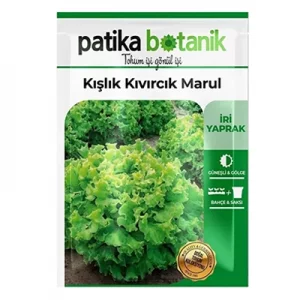 بذر کاهو فر سبز پاتیکا بوتانیک