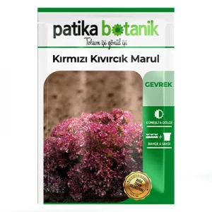 بذر کاهو فر قرمز پاتیکا بوتانیک