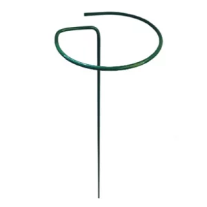 قیم فلزی نگهدارنده گیاه مدل حلقه ای