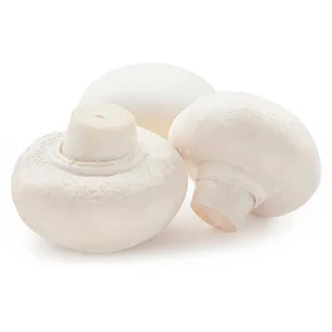 بذر قارچ دکمه ای