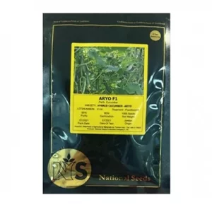 بذر خیار گلخانه ای هیبرید آریو نشنال سیدز