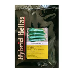بذر خیار گلخانه ای هیبرید ساندا هلاس