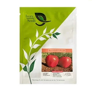 بذر گوجه فرنگی هیبرید پرستیژ ایوری سیدز
