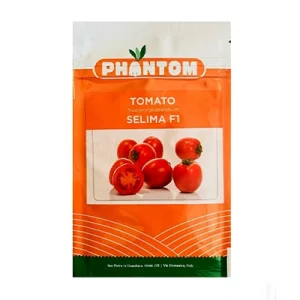 بذر گوجه فرنگی هیبرید سلیما فانتوم