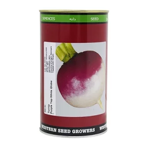 بذر شلغم Early Purple Top White Globe وسترن