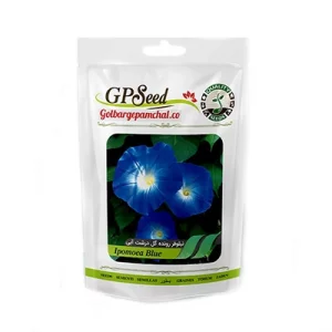 بذر گل نیلوفر گل درشت آبی رنگ