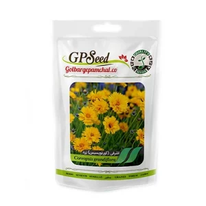 بذر گل اشرفی (کورئوپسیس) زرد