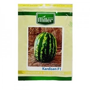 بذر هندوانه هیبرید کاردیسان مایلر سیدز