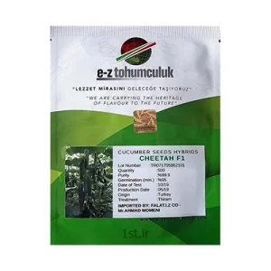 بذر خیار گلخانه ای هیبرید چیتا ای زد