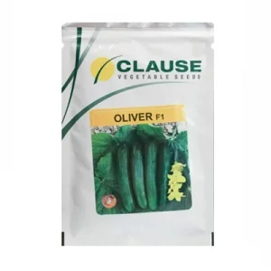 بذر خیار هیبرید الیور کلوز