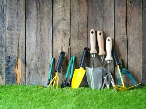 راهنمای انتخاب ادوات کشاورزی مناسب برای باغ های کوچک