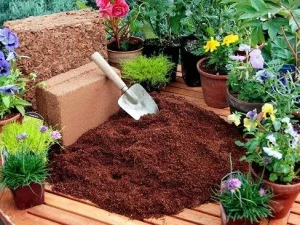 چگونه از کوکوپیت برای کاشت بذر و قلمه استفاده کنیم؟ ترفندهای کاربردی