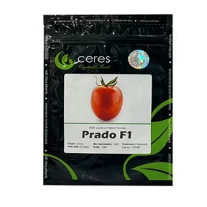 بذر گوجه فرنگی هیبرید پرادو کرس هلند