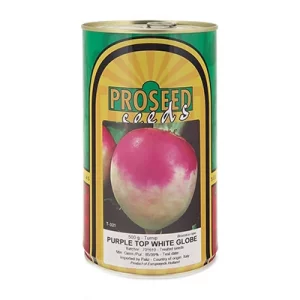 بذر شلغم Purple Top White Globe پروسید