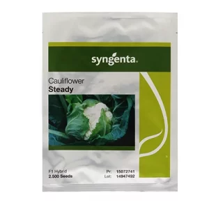 بذر گل کلم هیبرید استدی سینجنتا