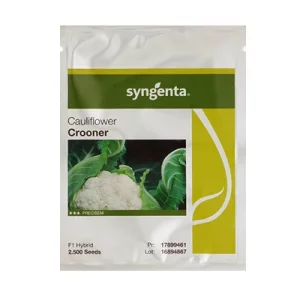 بذر گل کلم هیبرید کرونر سینجنتا