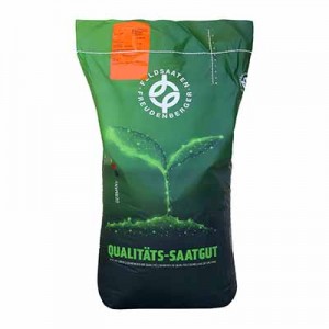 بذر چمن آفریقایی برموداگراس گرین فیلد