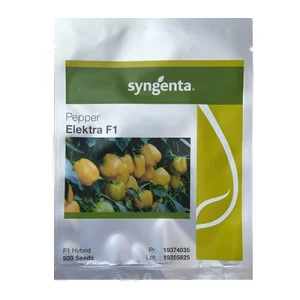 بذر فلفل دلمه زرد هیبرید الکترا سینجنتا