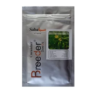 بذر خیار گلخانه ای هیبرید سبا بریدر سیدز
