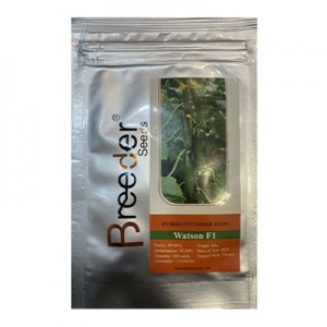 بذر خیار گلخانه ای هیبرید واتسون بریدر سیدز