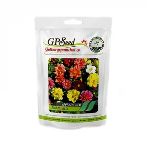 بذر گل کوکب بذری الوان