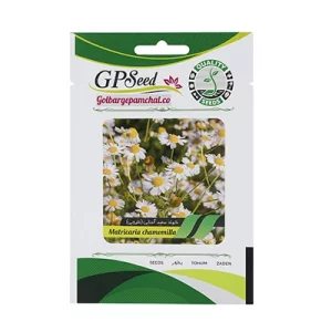 بذر گل بابونه دارویی سفید