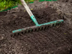 چگونه خاک را برای کاشت بذر چمن در پاییز آماده کنیم؟