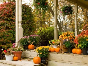 ۱۰ گیاهی که بهتر است در پاییز بکارید