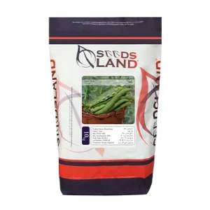 بذر باقلا استاندارد فیض سیدز لند