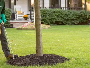 نقش ریزمغذی‌ ها در کوددهی پاییزی