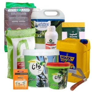 پک ضروری فصل زمستان