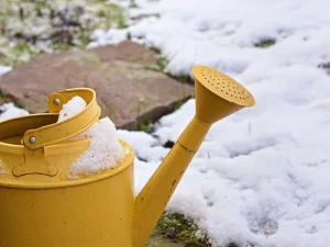 یخ آب و شخم زمستانه