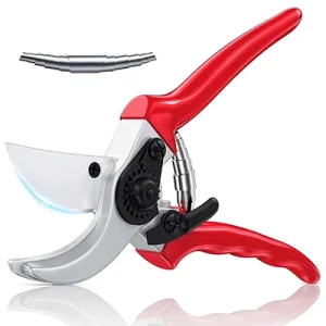 قیچی باغبانی روکو