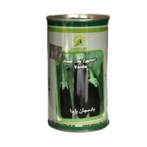 بذر بادمجان قلمی یلدا عنبری