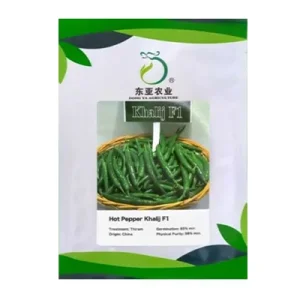 بذر فلفل قلمی تند هیبرید خلیج دونگیا