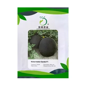 بذر هندوانه هیبرید گاندو دونگیا