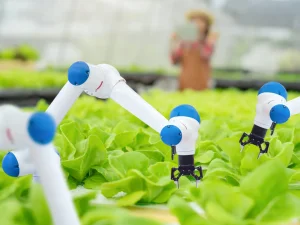 کشاورزی هوشمند چیست و چه زمانی در ایران فراگیر می‌ ‌شود؟