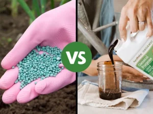 کود مایع بهتر است یا گرانوله؟