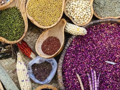 علت پوک‌بودن بذر چیست و چگونه بذر سالم را تشخیص دهیم؟