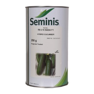 بذر خیار هیبرید 2n (رویال) سمینیس