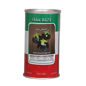 بذر بادمجان دلمه ایران بذر