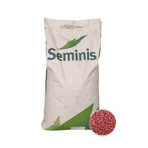 بذر لوبیا سبز تروبرد سمینیس (25 کیلویی)