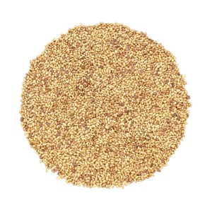 بذر یونجه همدان