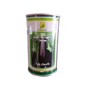 بذر بادمجان استاندارد یلدا