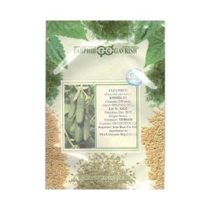 بذر خیار خاردار هیبرید گلخانه ای کیبورگ گاوریش