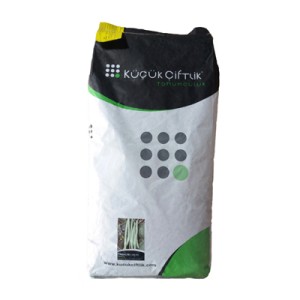 بذر لوبیا سبز استاندارد سان ری KC